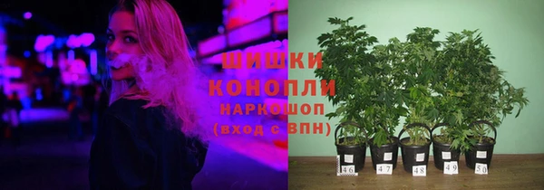 гидра Алексеевка