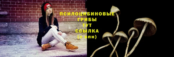скорость mdpv Алзамай