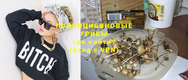 герыч Мегион