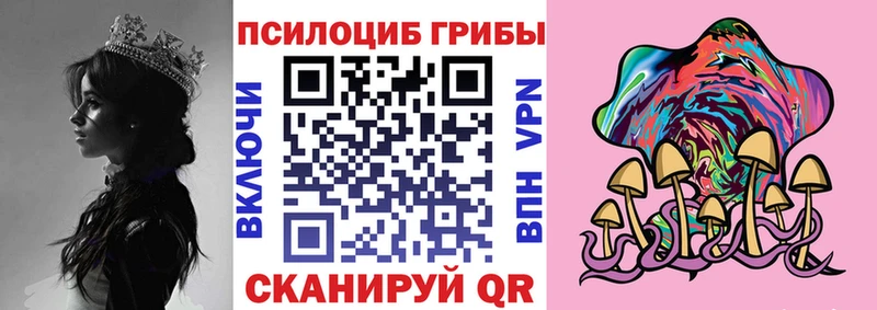 mega tor  Цоци-Юрт  Псилоцибиновые грибы GOLDEN TEACHER 